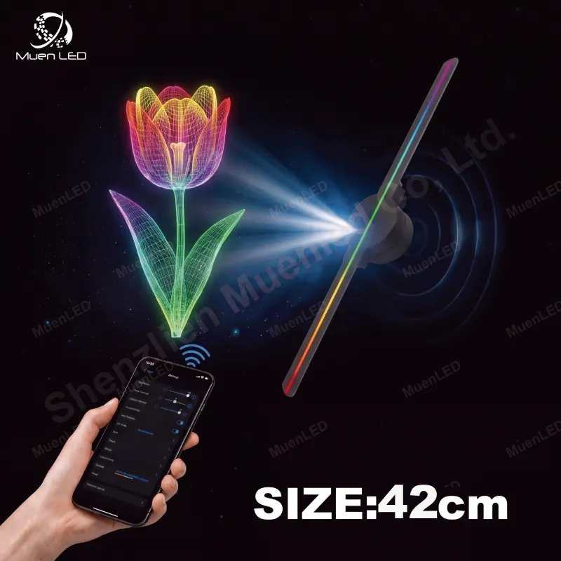 42cm 3d Holographic Fan Display Led Advertising Fan Holographic Display for Indoor Exhibition