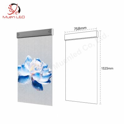P3.91 Holographic Invisible Led Screen Indoor Advertising Display 758x1323mm