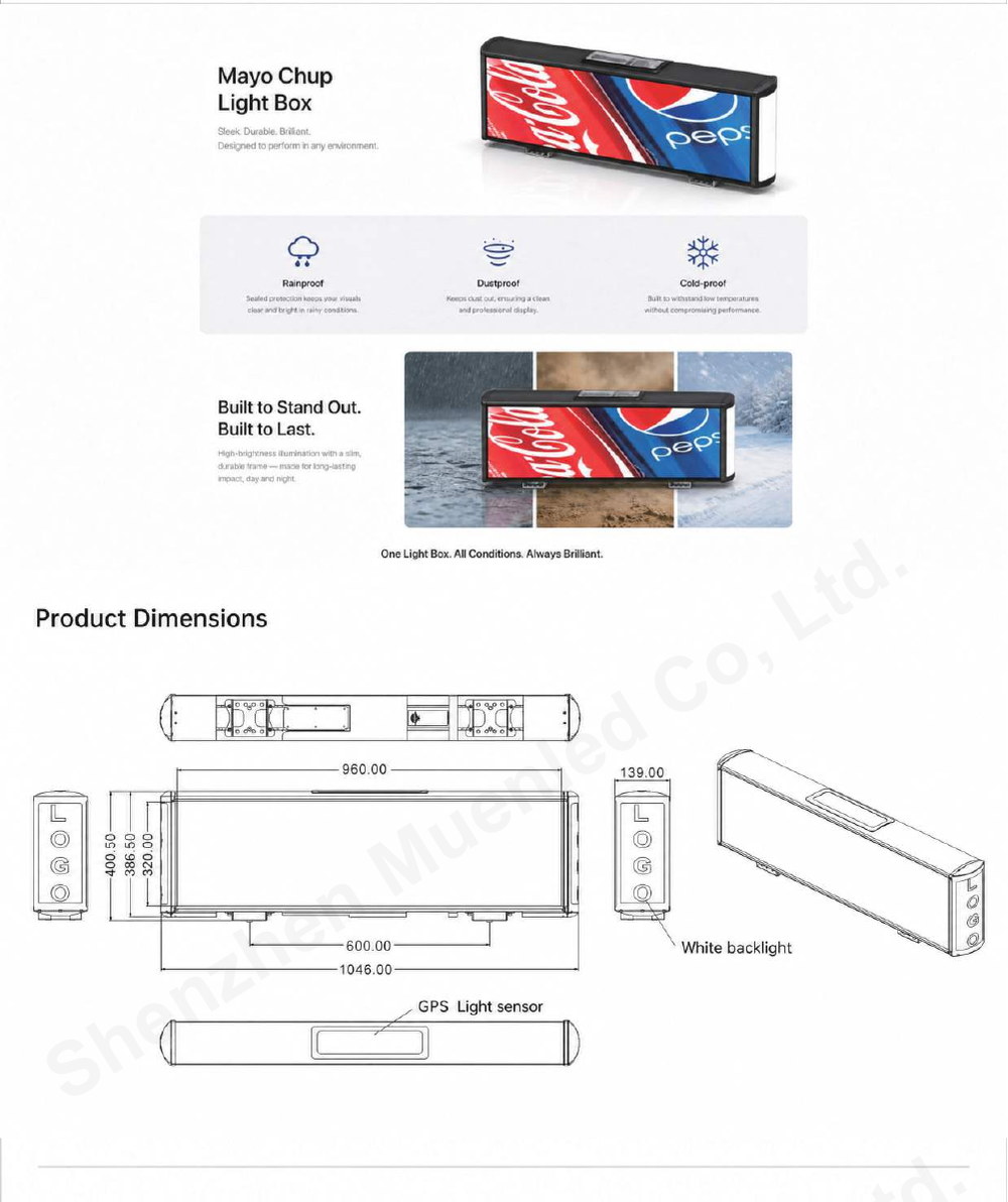 DS4-A LED display specification sheet 2